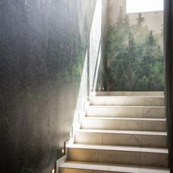 Фото Отель Silence hotel (Сайленс)