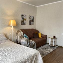 2-комнатные апартаменты эконом 2-кв. ул. Красноармейская 14 №97