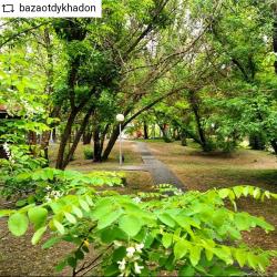 Фото Отель Дон