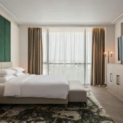 Grand Rostov by Hyatt Regency (Гранд Ростов Хаятт Ридженси) — 201088c5d9ed09bfd78e37bd8dd28207