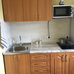 Фото Апартаменты на проспекте 100-летия а