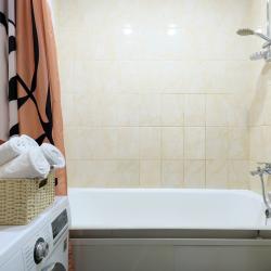 Фото Семейные апартаменты Elenahotel (Еленаотель) на проспекте Коломяжский 36/2