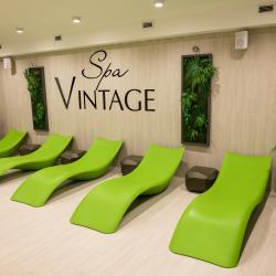 Фото SPA Hotel Vintage (СПА отель Винтаж)