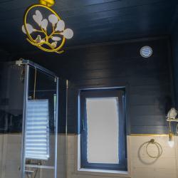 Коттедж улучшенный Когтевран