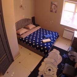 Фото Отель Мельница