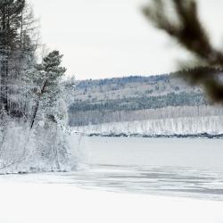 фото 48 Бурдугуз
