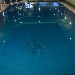 Фото Отель Mandarin Hotel & Fitness Center (Мандарин)