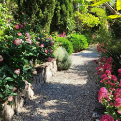 Фото Отель Соната