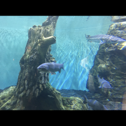 Фото Хостел Дружба