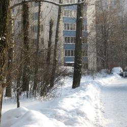 Фото Отель Apartment Elena (Апартмент Елена)