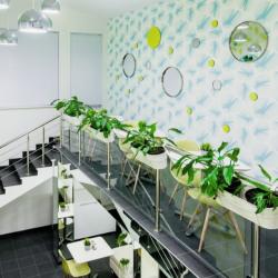 Фото Отель Аэроклуб Алпина-Авиа