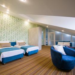 Номер полулюкс (мансарда)