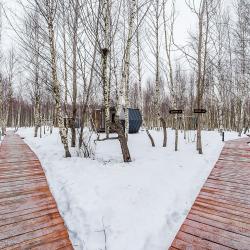 Фото Отель HoneyDay (ХаниДэй)