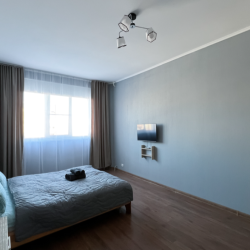 Фото Апартаменты на улице Старостина 11к2