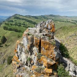 Фото Отель Алтай Эко Кедр