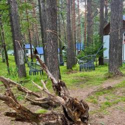 Фото Отель Дух Тайги