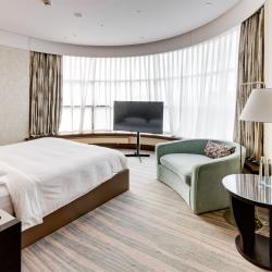 Ридженси Executive Suite