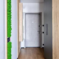 2-местные 1-комнатные апартаменты улучшенные