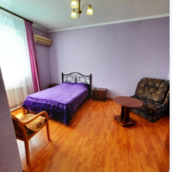 Фото Отель Альбина