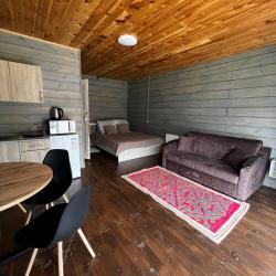 Фото Отель Altay Dream (Алтай Дрим)