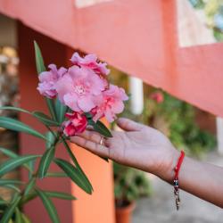 Фото Отель Нина