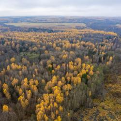 Фото Эко-отель Шанти