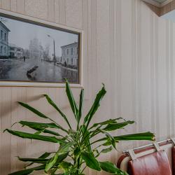 Фото Отель Базилик