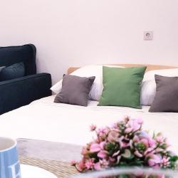 1-комнатные апартаменты студия