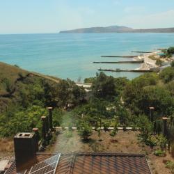 1-комнатные апартаменты люкс (мансарда)