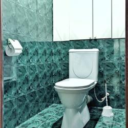 Фото Апартаменты на улице Нелюбина 25 (3)