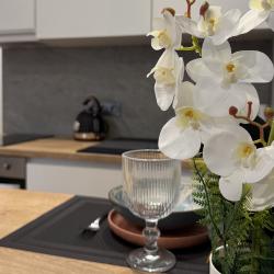 2-местные 1-комнатные апартаменты студия Октябрьская 16 с 1 двуспальной кроватью