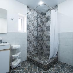 Фото Отель Серый Гусь