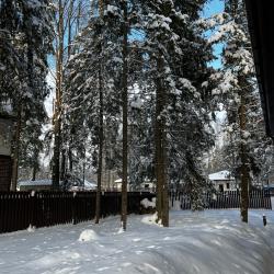 Фото Отель Дом в сосновом лесу