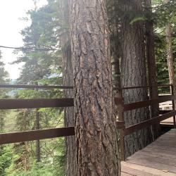 Фото Отель Solur (Солюр)