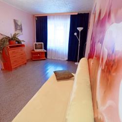 Фото Апартаменты на улице Володарского 50