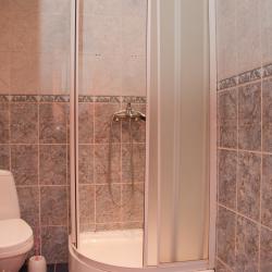 1-местный номер стандарт (с завтраком, мансарда) #203