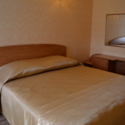 Номер люкс (с завтраком)