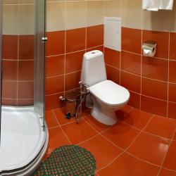 Комната стандарт с 1 двуспальной кроватью Май (с завтраком)