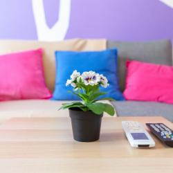 Фото Апартаменты на улице Солнечной