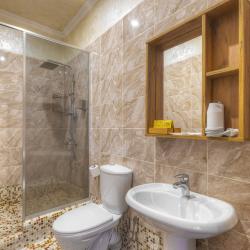 Номер люкс с 1 двуспальной кроватью