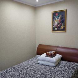 Фото Апартаменты на проспекте Ленина 75А