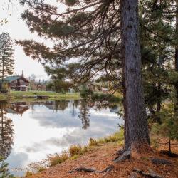 Фото Отель Озерки