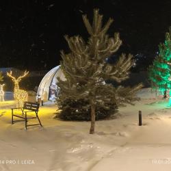 Фото Отель Бордо Хаус