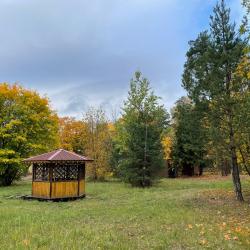 Фото Отель Сосновый бор