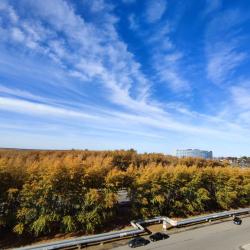 Фото Отель Ночник на улице Щербакова