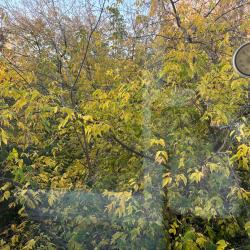 Фото Апартаменты на улице Пушкинская 245а