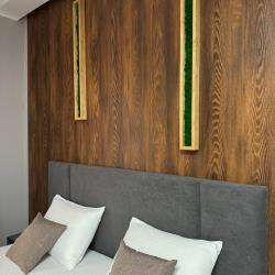 Номер люкс с 1 двуспальной кроватью с балконом