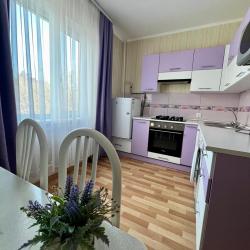 Фото Апартаменты на улице Красноармейская 89