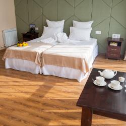 Номер стандарт комфорт с видом на бассейн #302