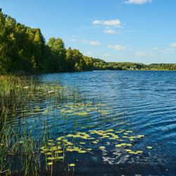 Фото Отель База отдыха Марциальные ключи